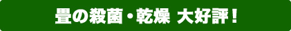 畳の殺菌・乾燥 大好評！